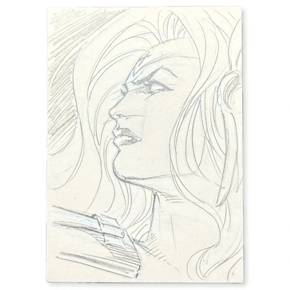 Lady Death Dark Alliance Hand Drawn Sketch Card 1 of 1 With COA Chaos Comics